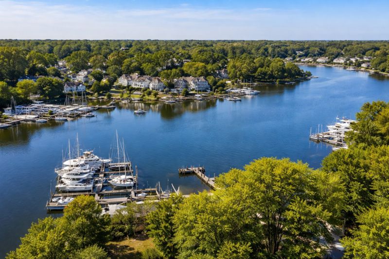 Waterfront Land Clearing