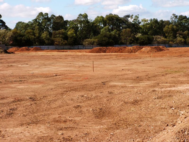 Consulting Local Experts