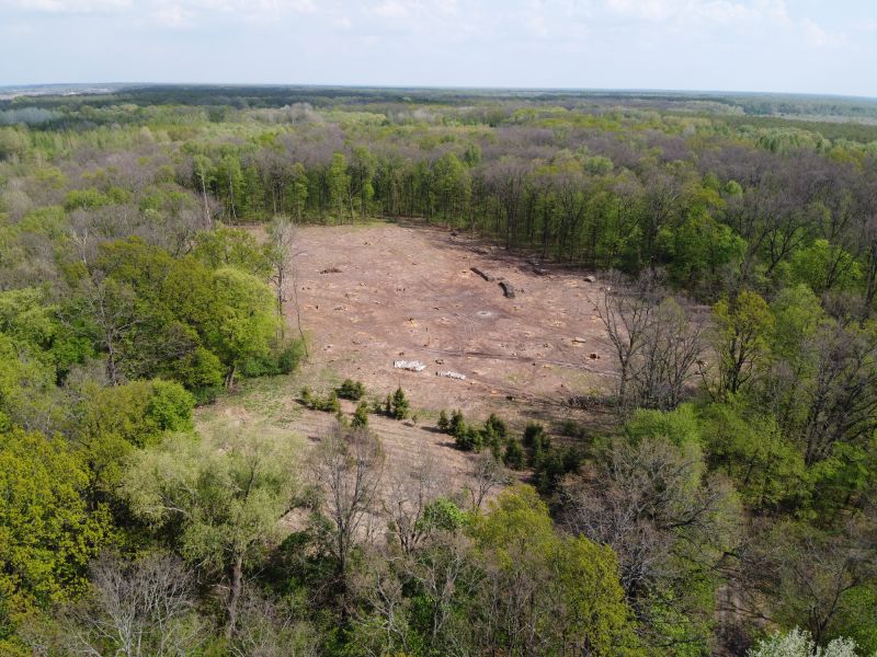 Expert Land Clearing Planning