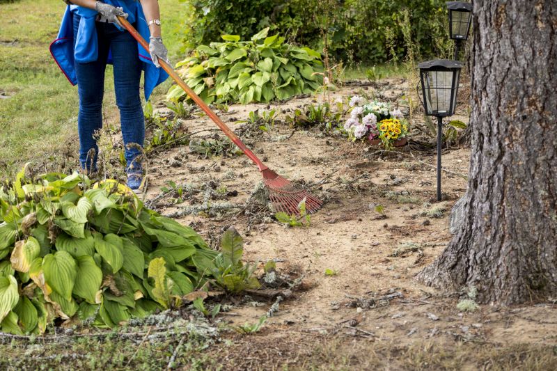 Land Clearing Permits and Regulations