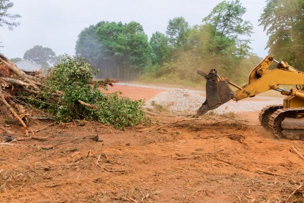 Ground Clearing in Broken Arrow