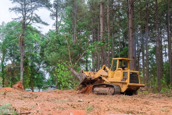 Trees Clearing in Broken Arrow