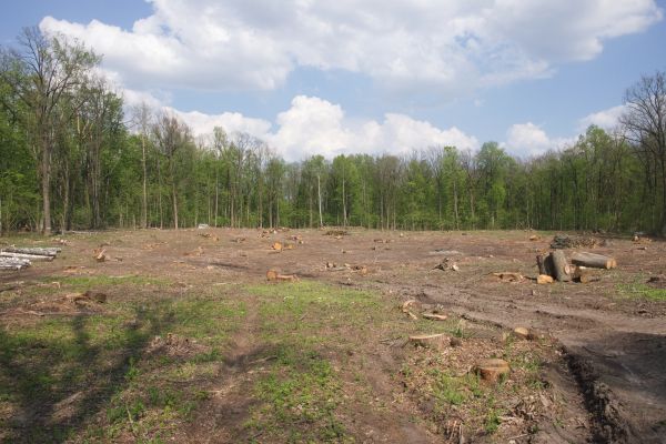 Cost of Pasture Clearing in Broken Arrow