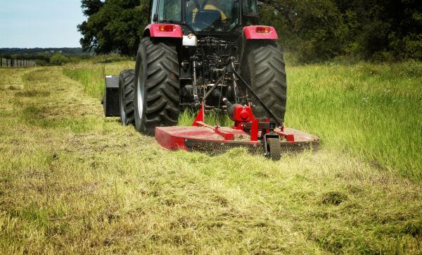 Brush Clearing Service in Broken Arrow