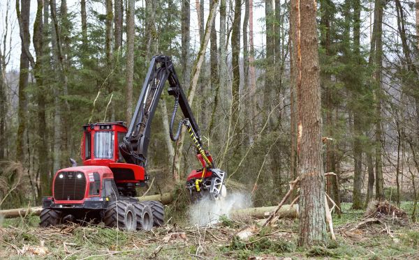 Cost of Forest Clearance Service in Broken Arrow