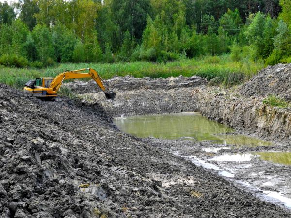 Cost of Lake Lot Clearing in Broken Arrow
