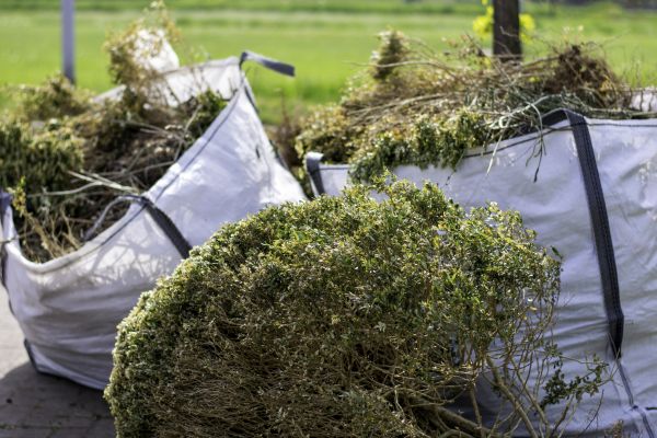 Cost of Bushes Clearing in Broken Arrow