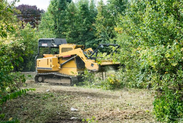 Cost of Pathway Clearing in Broken Arrow