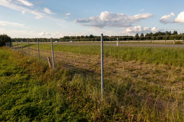 Cost of Property Line Clearing in Broken Arrow