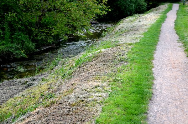 Cost of Trail Cutting in Broken Arrow